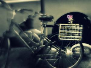 bike with basket of a flower