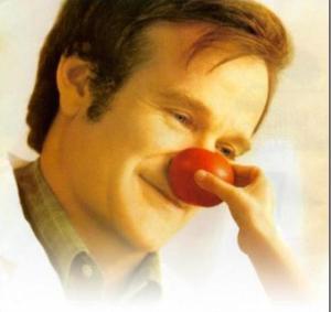 robin williams in patch adams